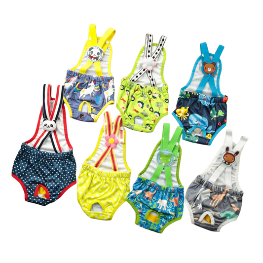 Harbor Reusable Dog Diaper Brief