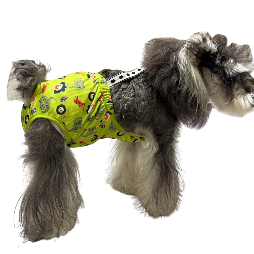 Rose & Sea™ Harbor™ Reusable Dog Diaper Brief