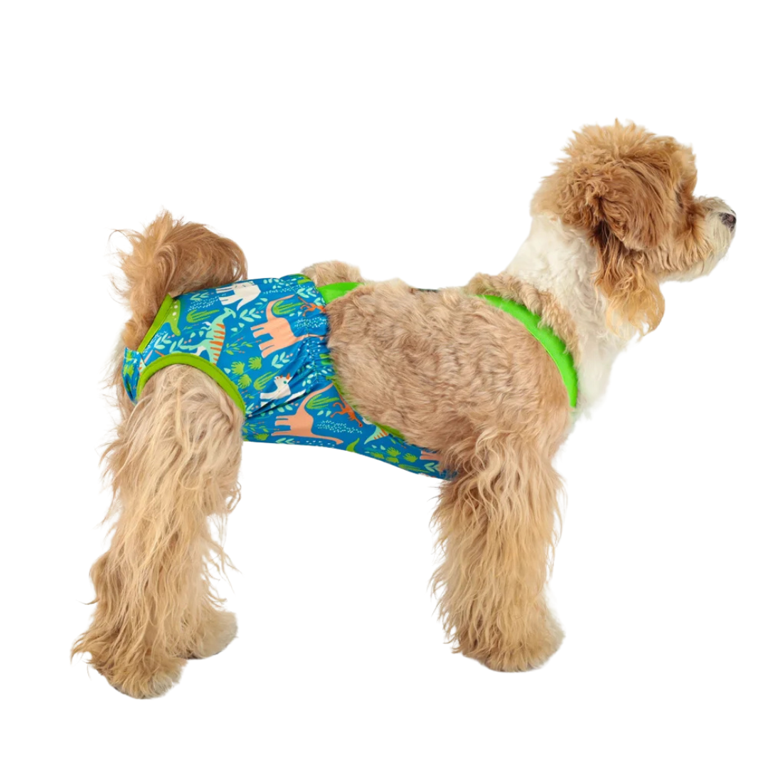 Rose & Sea™ Harbor™ Reusable Dog Diaper Brief