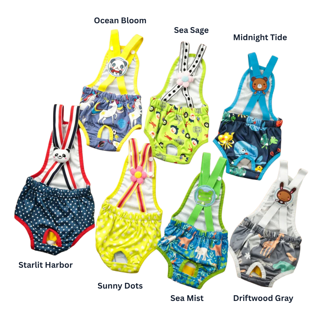Harbor Reusable Dog Diaper Brief