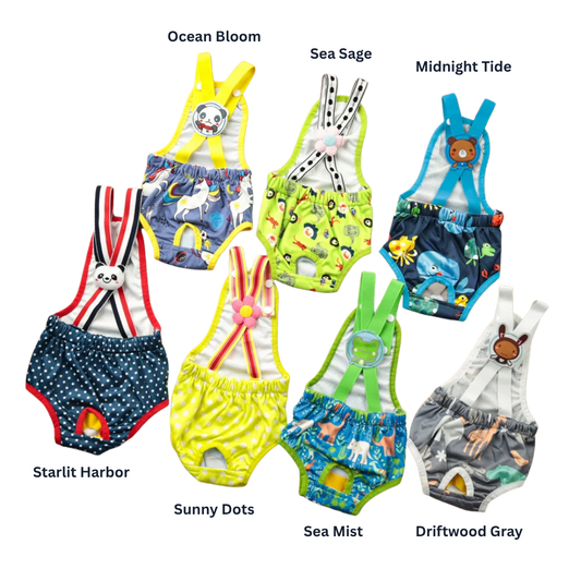 Harbor Reusable Dog Diaper Brief